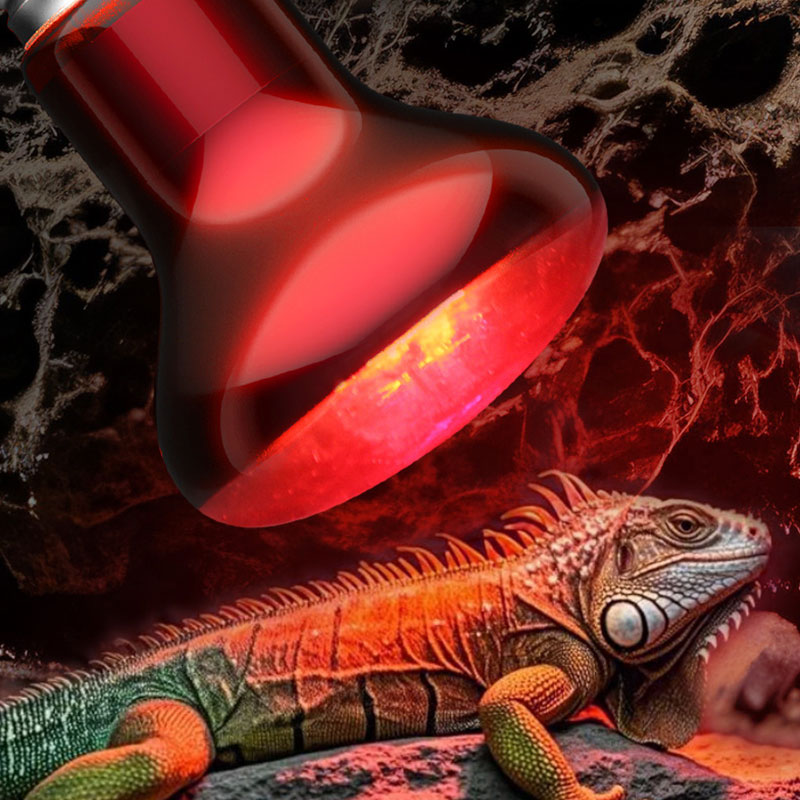Reptile Heat Lamp 100V/220V In - огляд і ціна Gecko Lighting & Decor