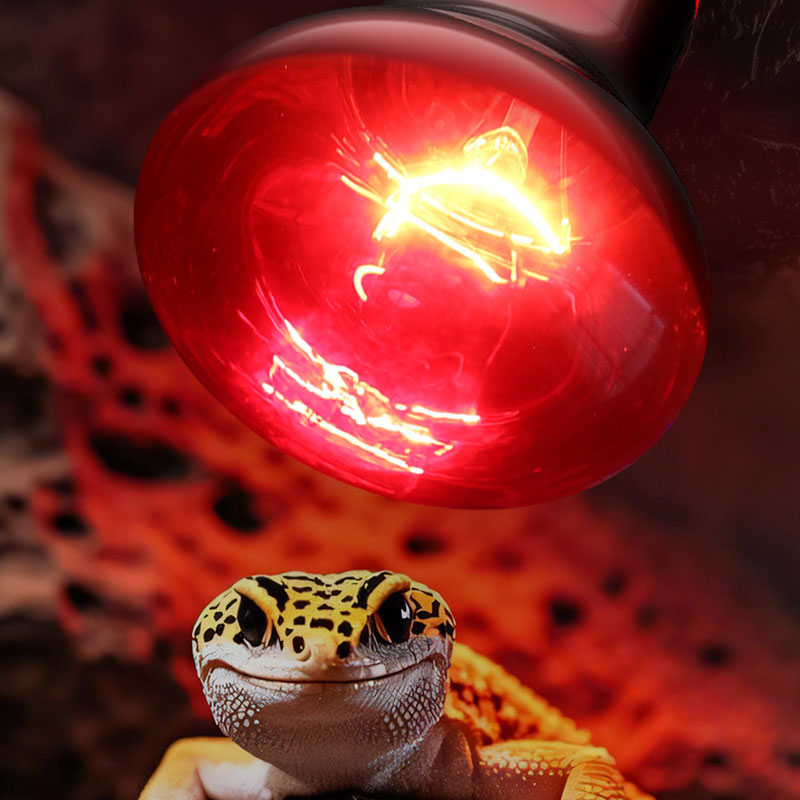 Reptile Heat Lamp 100V/220V In - огляд і ціна Gecko Lighting & Decor