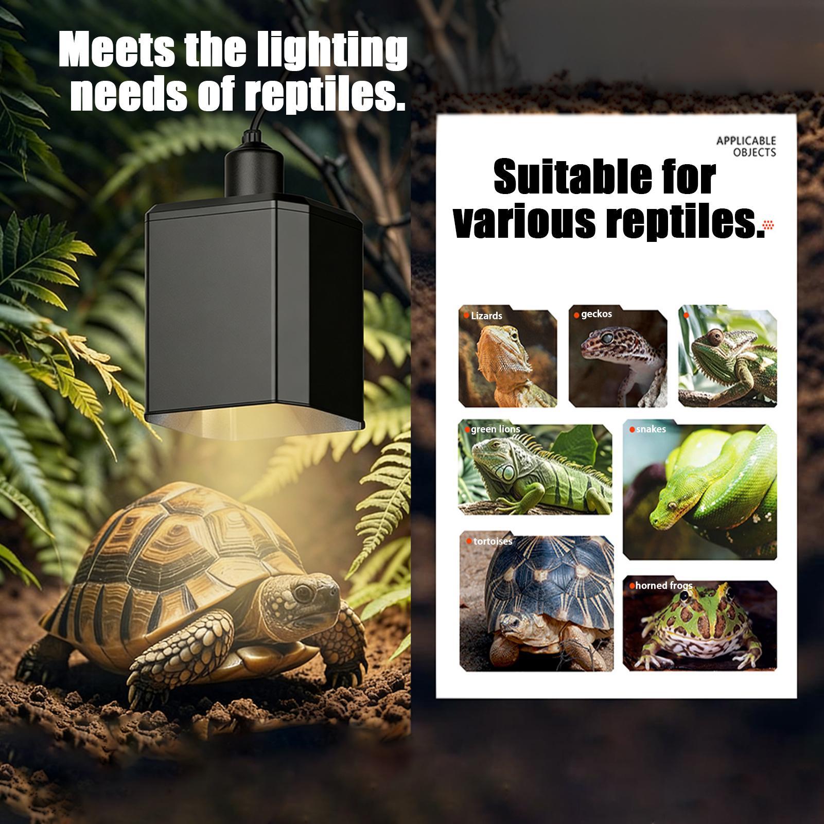 Reptile Heat Lamp Cover Reptil - огляд і ціна Gecko Lighting & Decor