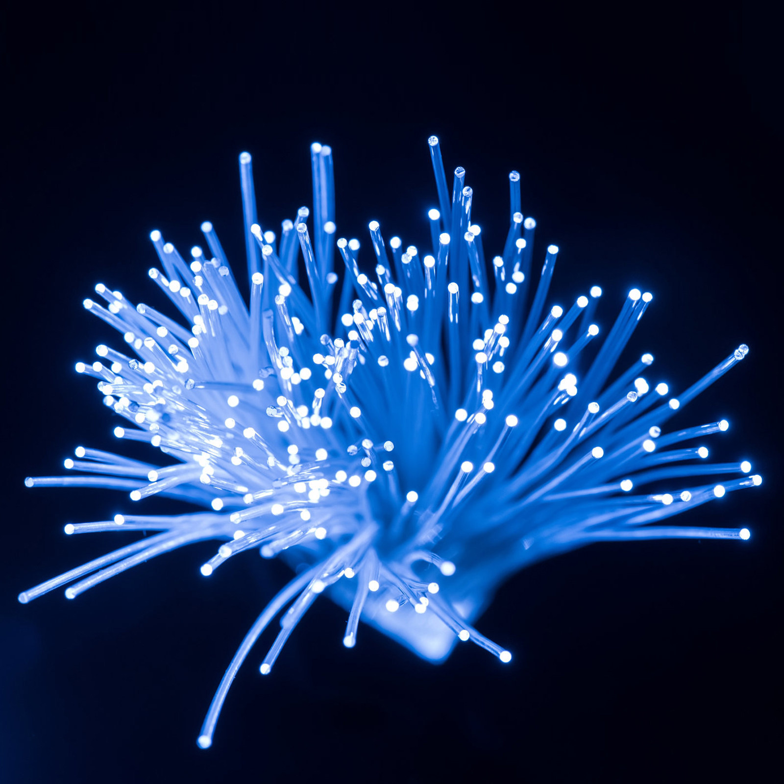 100 Meters Light Guiding Optic - огляд і ціна Decor Lighting Fixtures